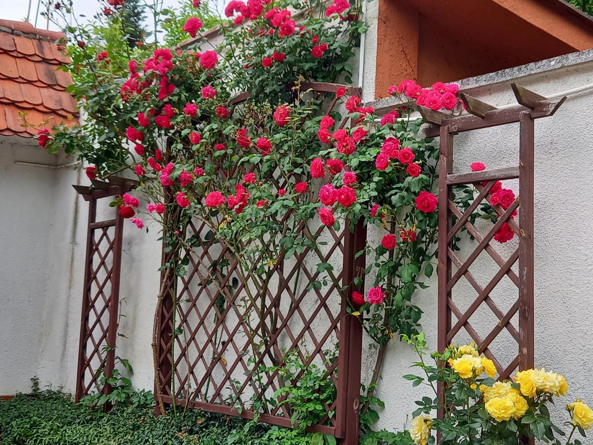 Apartament 2-Pokojowy 55 M2, Kolo Zoo, Hali Stulecia Wrocław Eksteriør bilde